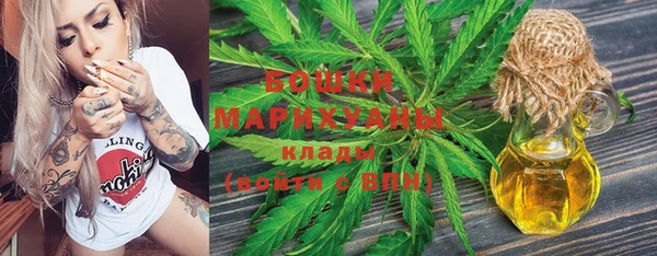 метадон Богданович