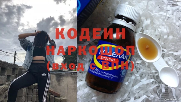 PSILOCYBIN Бородино