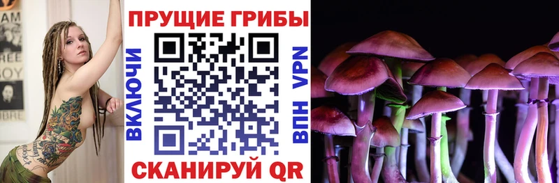 Псилоцибиновые грибы Cubensis  наркотики  Весьегонск 